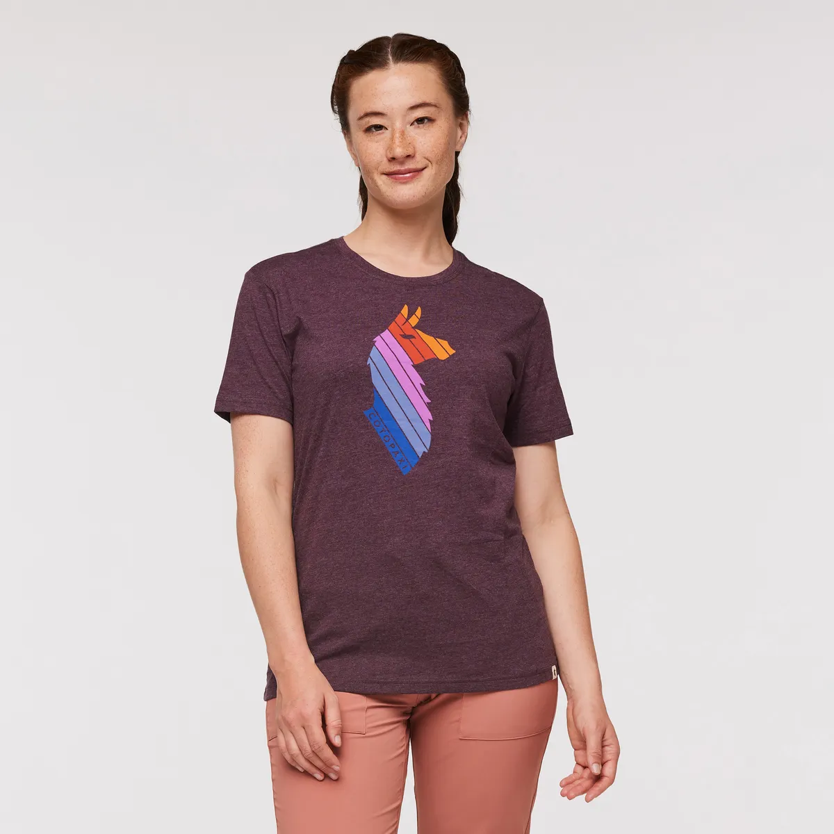 Llama Stripes T-Shirt - Women's