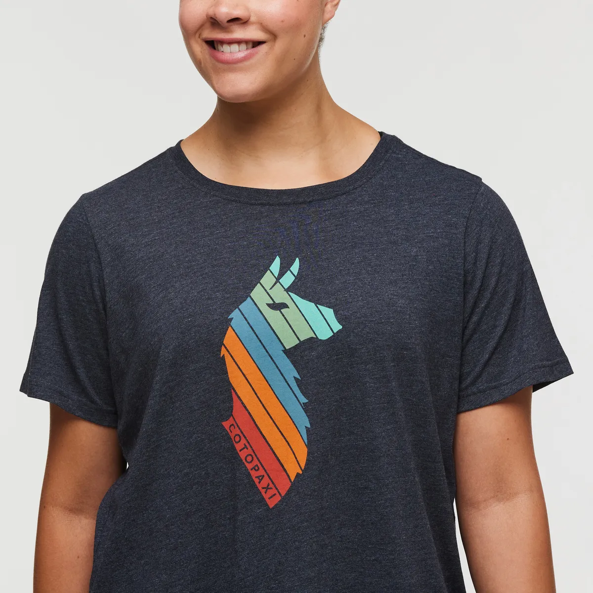 Llama Stripes T-Shirt - Women's