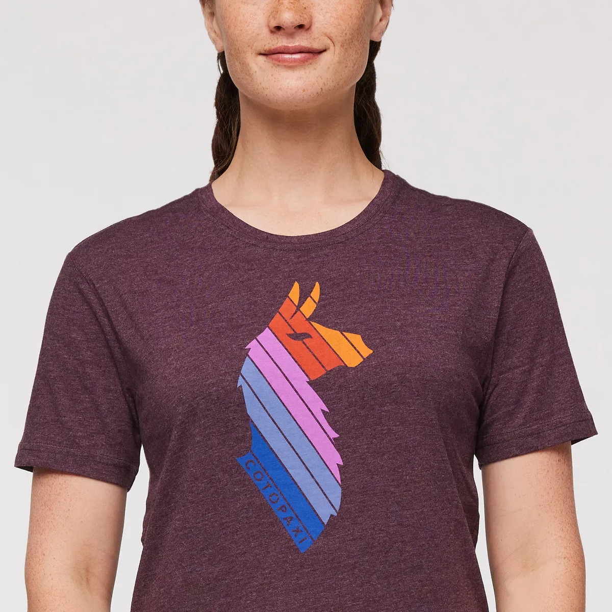 Llama Stripes T-Shirt - Women's