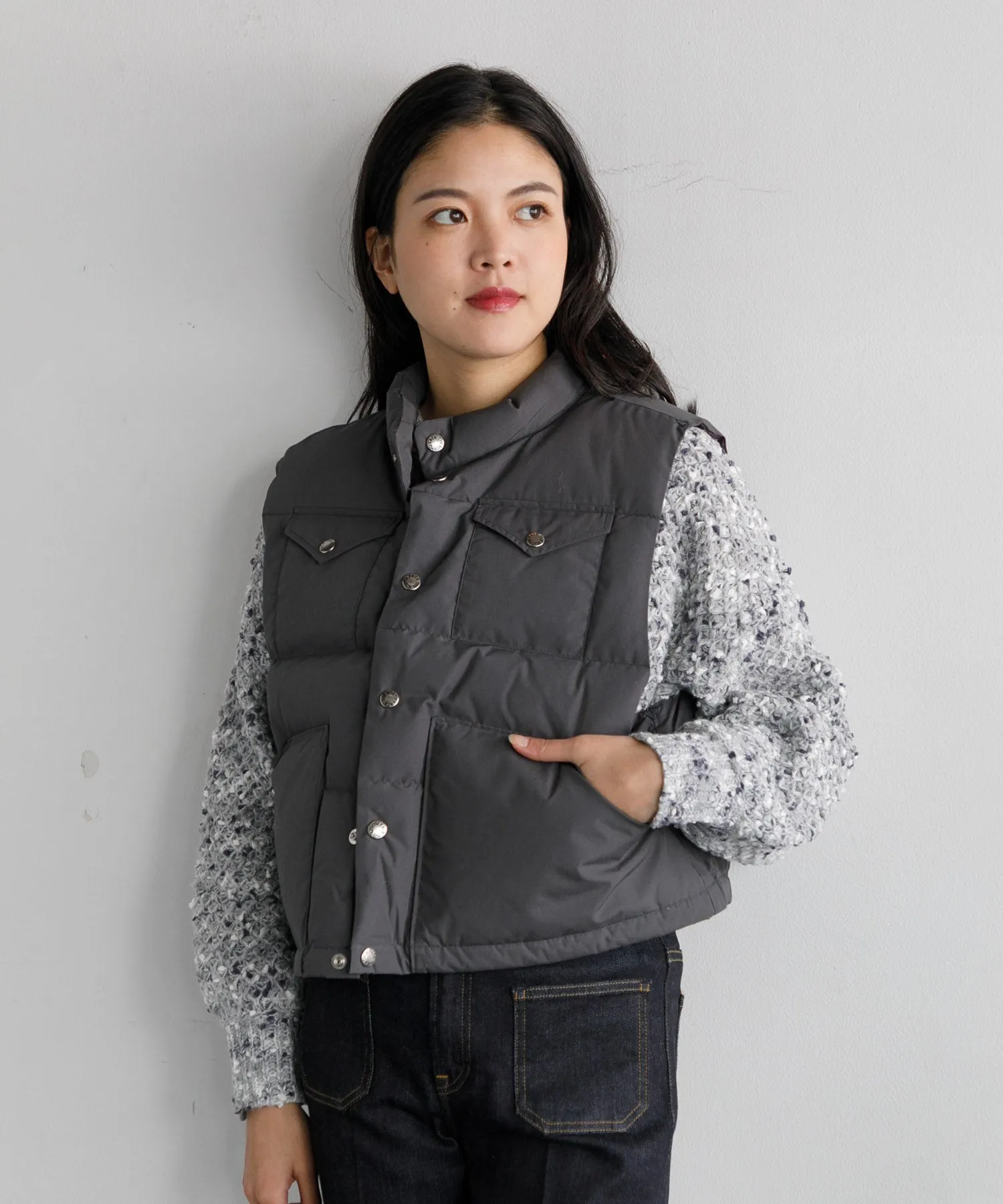 【WOMEN】THE NORTH FACE PURPLE LABEL 65/35 Short Sierra Vest