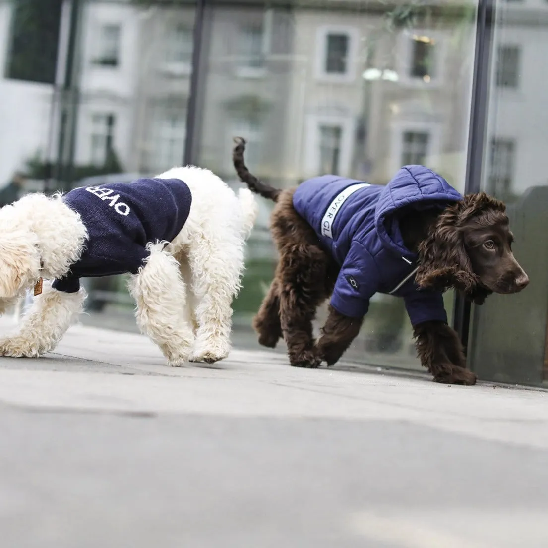 Zip Up Puffer Jacket (Navy)